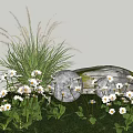Stunning White Daisies And Yellow Blossoms With Green Grass Wheat like Plants Under Blue Sky