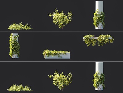 Modern thorn rose climbing vine plant combination vine rose bush yellow thorn rose thorn nine flowers thorn rose garden flowers 3d model