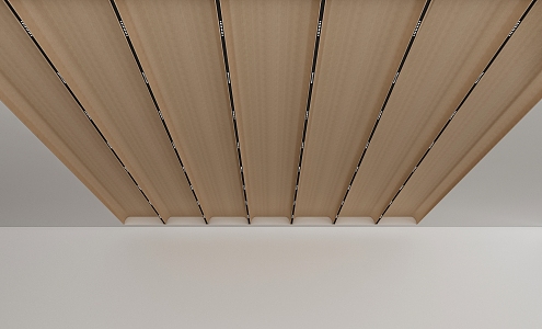 Ceiling 3d model