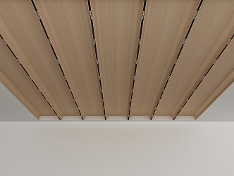 Ceiling 3d model