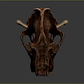 Prehistoric Animal Skull Display On Golden Three Legged Stand With Long Brown Fangs