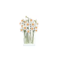 Fresh White Flowers With Orange Centers In Transparent Square Glass Vase
