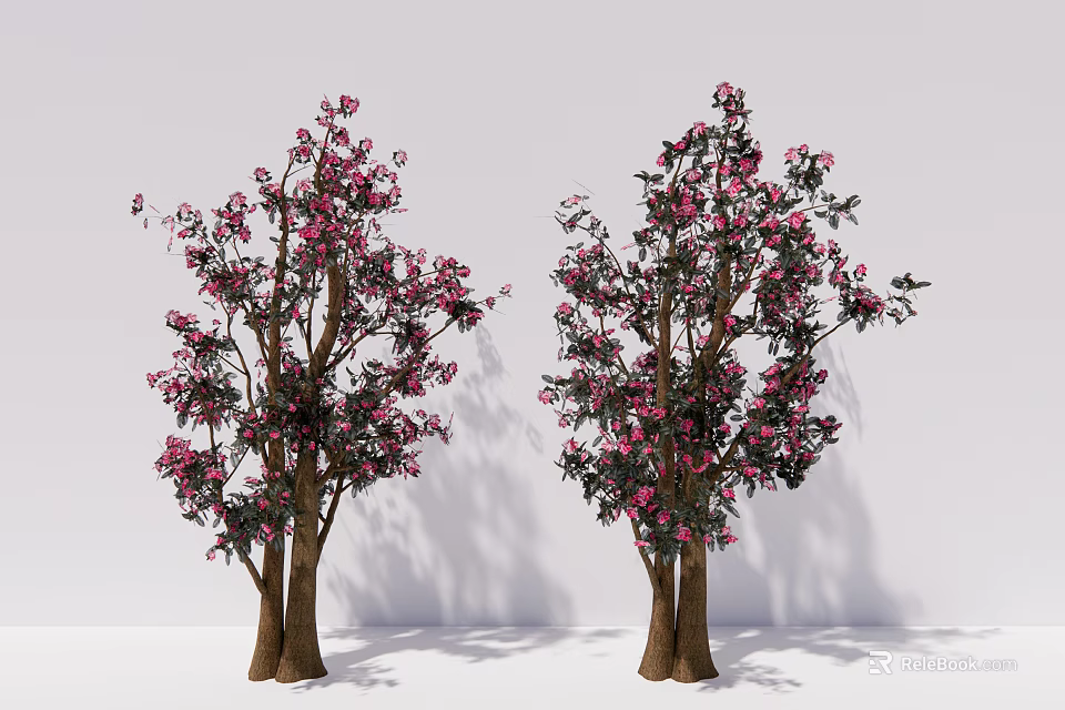 Two Ornamental Arbor Trees With Pink Blossoms Green Leaves And Brown Trunks 3d model 