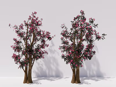 Two Ornamental Arbor Trees With Pink Blossoms Green Leaves And Brown Trunks 3d model