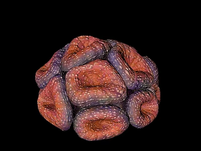 Vibrant Aquatic Animal With Ruffled Spherical Body Orange Purple Tones And White Dots 3d model