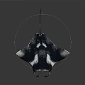 Black and White Manta Ray With Large Wings Swimming In Ocean Water
