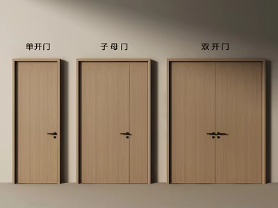 Modern Wooden Sub-mother Door Design In Interior With Single And Double Doors 3d model
