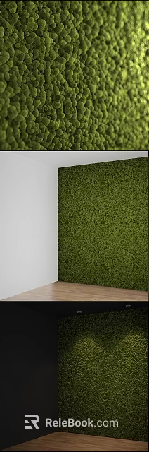 Indoor Green Plant Wall Decor With White And Black Background For Interior Design 3d model 
