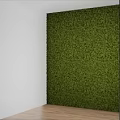 Indoor Green Plant Wall Decor With White And Black Background For Interior Design