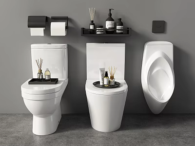 Modern White Toilet and Urinal with Toilet Paper Holder and Aromatherapy Bathroom Shelf 3d model