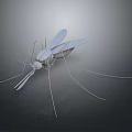 Essential Household Items for Effective Mosquito Control and Home Safety