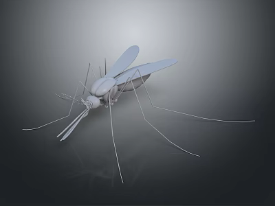 Essential Household Items for Effective Mosquito Control and Home Safety 3d model Essential Household Items for Effective Mosquito Control and Home Safety 3d model