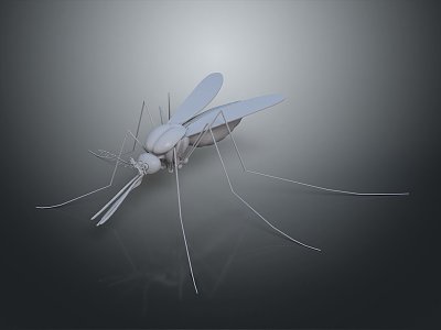 Mosquito Cartoon Mosquito Cartoon Insect Monster Cartoon Monster Cartoon Monster 3d model