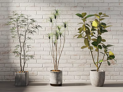 Bonsai Potted Plants in Gray Ceramic Pots Against Brick Wall on Wooden Floor 3d model