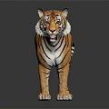Realistic 3D Tiger Model With Striped Fur Standing Pose On Dark Background And Reflection 3d model