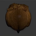 Game and Film Character Head Model with Brown Hairstyle Design