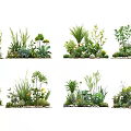Diverse Plant Combinations with Mixed Herbs Shrubs and Decorative Stone Elements for Garden Landscaping