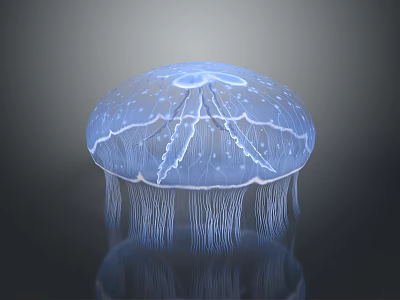 Blue Translucent Jellyfish With Bell Shaped Body And Long Tentacles On Dark Background 3d model