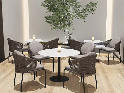 Indoor Table And Chair Combination With Round White Table Woven Gray Chairs And Green Plant 3d model