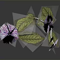 Purple Flowers With Green Leaves And White Stems On Dark Background With Reflection