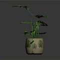 Green Leafy Plants in Decorative Pots with Leaf Patterns for Interior Decor