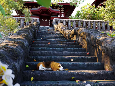 Garden Landscape Featuring Stone Steps Beagle Dog Traditional Red Pavilion And Green Foliage 3d model