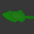 Spotted Orange Brown Fish With Dark Spots And Large Eyes On Reflective Surface
