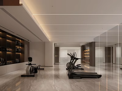Modern Spacious Gym With Treadmill Rowing Machine And Wall Shelves 3d model