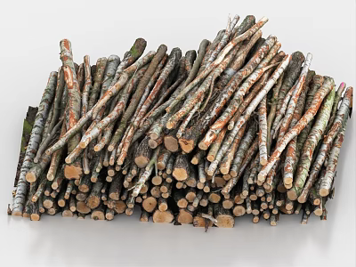 White birch trunk wood pile log pile branch pile wood pile 3d model