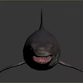 Realistic Marine Shark With Sharp Teeth Dorsal Fin And Streamlined Body Features 3d model