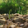 Modern Stone Sprouts 3d model