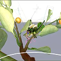 Green grasshopper with long antennae perched on green leaves and branch