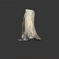 Tree Stump With Natural Weathered Wooden Texture On Smooth Black Surface