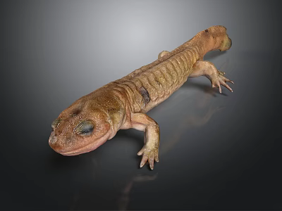 Realistic Brown Salamander With Detailed Skin Texture And Limbs On Dark Background 3d model