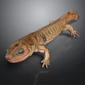 Realistic Brown Salamander With Detailed Skin Texture And Limbs On Dark Background
