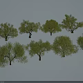 Multiple Arbor Trees With Different Crown Shapes Displayed On White Background 3d model