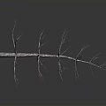 Dried Plant Branch With Thin Delicate Twigs Covered In Frost On Gray Background With Reflection