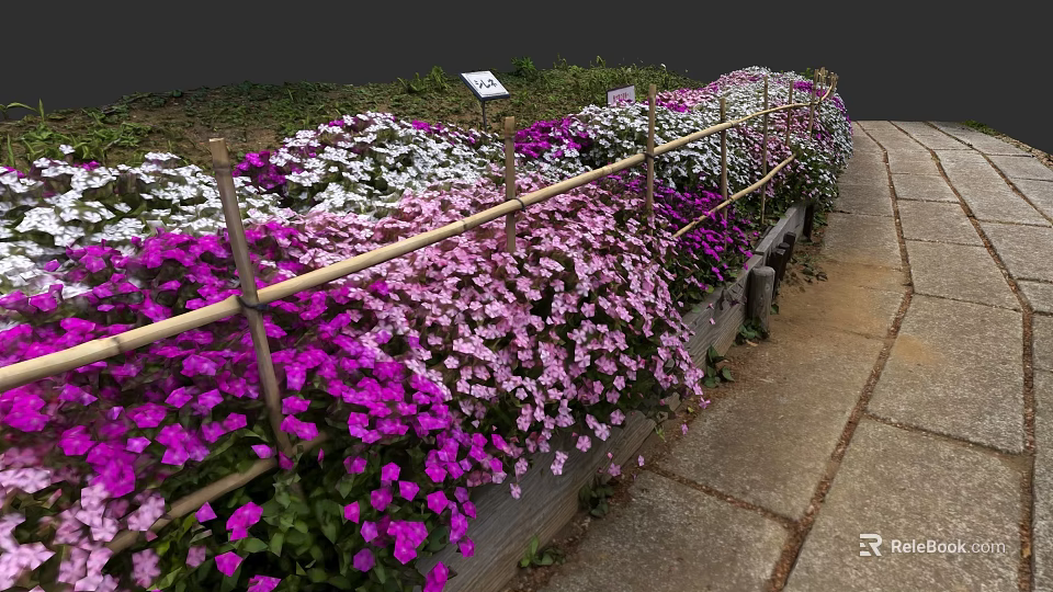 Vibrant Mixed Flowers Blooming In Garden Bed With Bamboo Fence And Pathway 3d model 