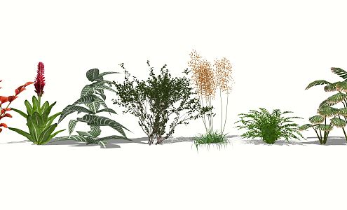 Modern Shrub Landscape Plant Shrub 3d model