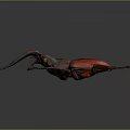 Red Beetle With Large Curved Mandibles On Dark Background Detailed View
