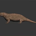 3D Reptile Character With Reddish Brown Wrinkled Textured Skin Standing On Smooth Surface
