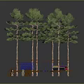 Fun Outdoor Playground With Tall Trees Colorful Bridge And Climbing Structures