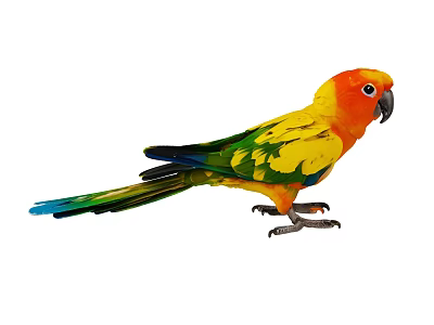 Colorful Flying Parrot with Orange Head Yellow Green Body Blue Tail Standing on White Background 3d model