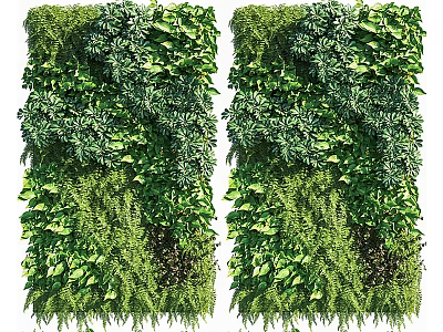 Vertical Living Plant Wall With Lush Green Foliage For Interior Decoration 3d model