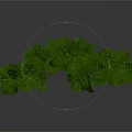 Four Green Potted Plants of Different Heights with Various Colored Pots on Dark Background