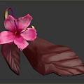 Vibrant Blooming Pink Flower With Red Leaves Against Dark Gray Background