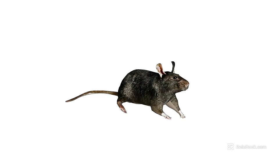 Small Reptile With Scaly Skin And Long Tail In Natural Habitat 3d model 