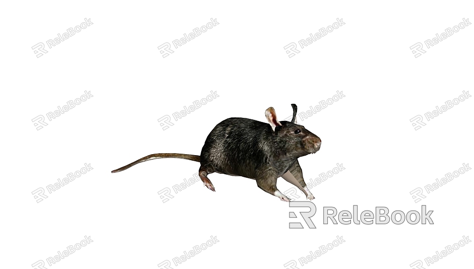 modern animal mouse model