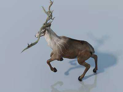 Unique Reptile With Antler Like Horns Running On Smooth White Surface 3d model