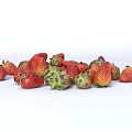 Fresh Ripe Strawberries Scattered on White Background Looking Juicy and Delicious